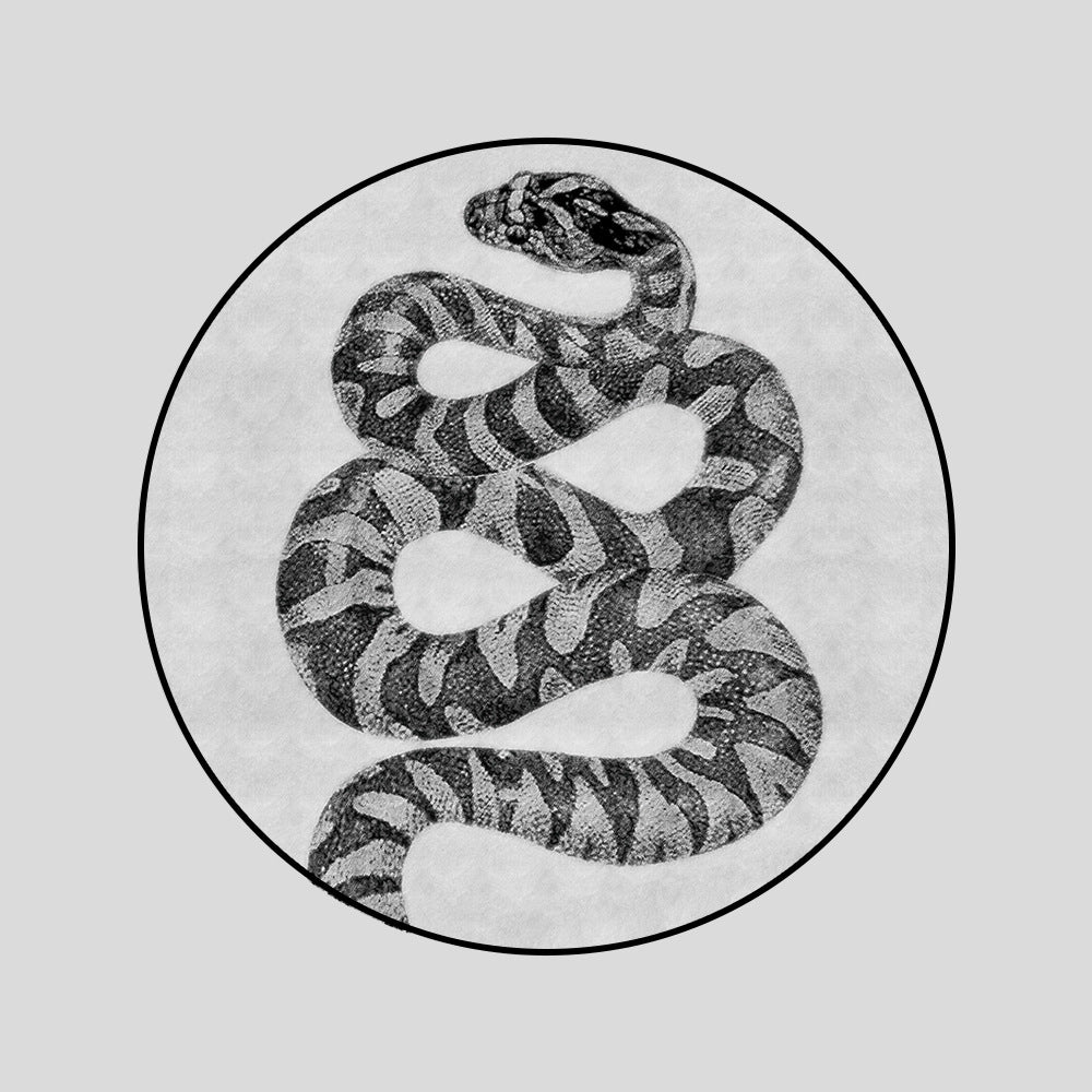 𝔾𝕣𝕠𝕦𝕟𝕕ℤ𝕖𝕣𝕠®-Flexing-居家✥2024✥美式家居生活黑白奎蛇客廳臥室地毯地墊